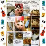 ののいち　にゃんこのおうち　猫の里親募集2020年2月　いつつぼし動物病院