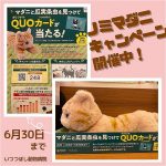 ニャンコ☆ノミマダニキャンペーン！いつつぼし動物病院　野々市市