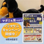 ワンちゃん☆ノミマダニキャンペーン！いつつぼし動物病院　野々市市