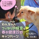 わんちゃん　フィラリア検査＆春の健康診断キャンペーン　いつつぼし動物病院　石川県野々市市