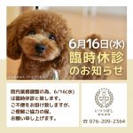 6/16（水）臨時休診のお知らせ　いつつぼし動物病院　石川県野々市市