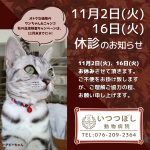 11月2日（火）、16日（火）終日休診のお知らせ　いつつぼし動物病院　石川県野々市市
