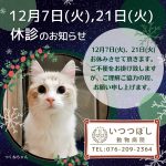 12月7日（火）、21日（火）終日休診のお知らせ　いつつぼし動物病院　石川県野々市市