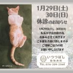 1月29日（土）、30日（日）終日休診のお知らせ　いつつぼし動物病院　石川県野々市市