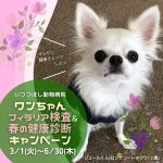 ワンちゃん　フィラリア検査＆春の健康診断キャンペーン　いつつぼし動物病院　石川県野々市市