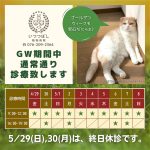 2022年ゴールデンウィークは通常診療致します　いつつぼし動物病院