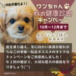 ワンちゃん☆秋の健康診断キャンペーン2022　いつつぼし動物病院