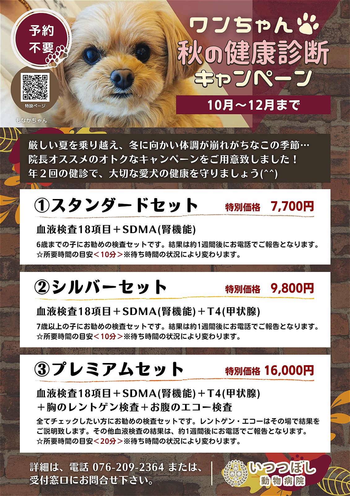 ワンちゃん☆秋の健康診断キャンペーン2022　いつつぼし動物病院