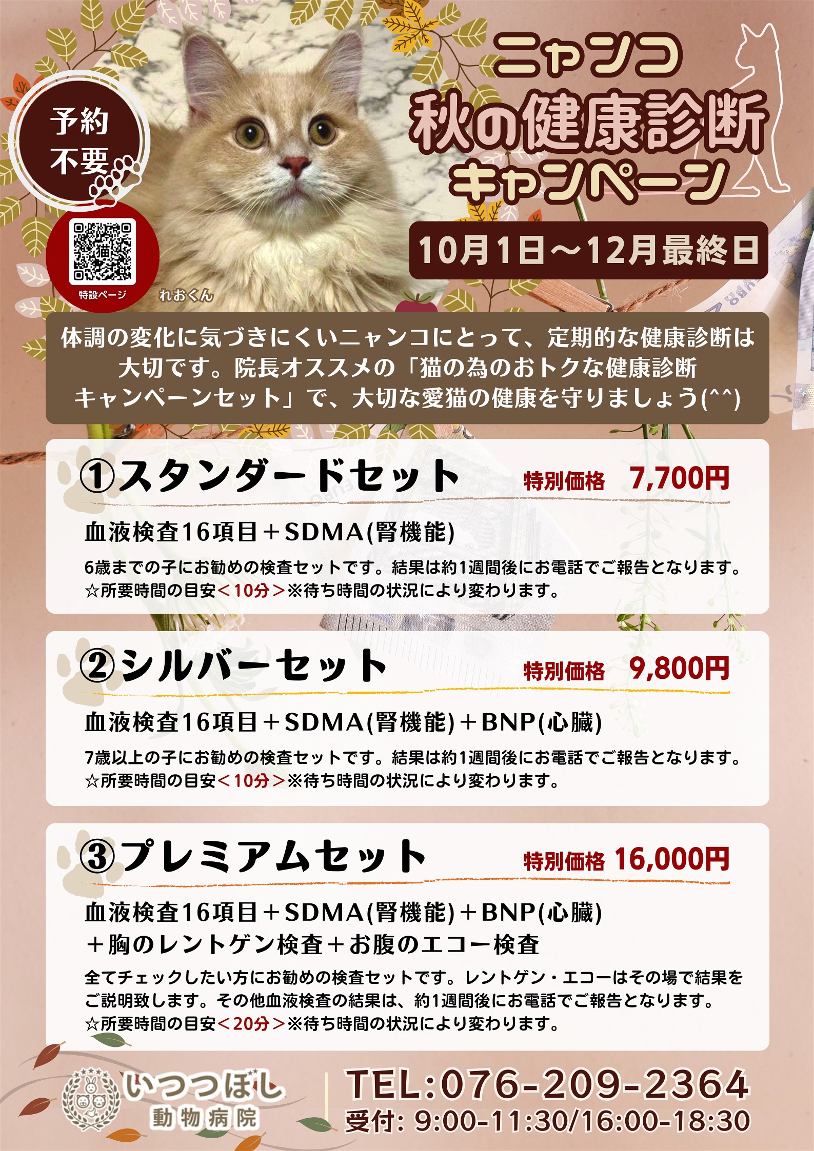 ニャンコ☆秋の健康診断キャンペーン2023　石川県野々市市　いつつぼし動物病院