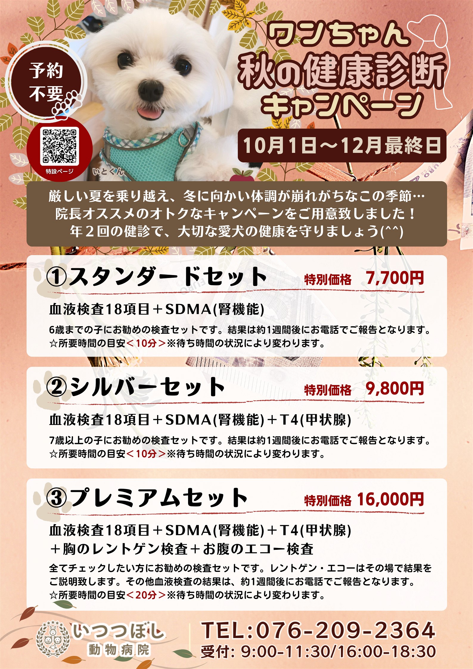 ワンちゃん☆秋の健康診断キャンペーン2023　石川県野々市市　いつつぼし動物病院