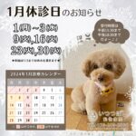 2024年1月　休診のお知らせ　いつつぼし動物病院　石川県野々市市