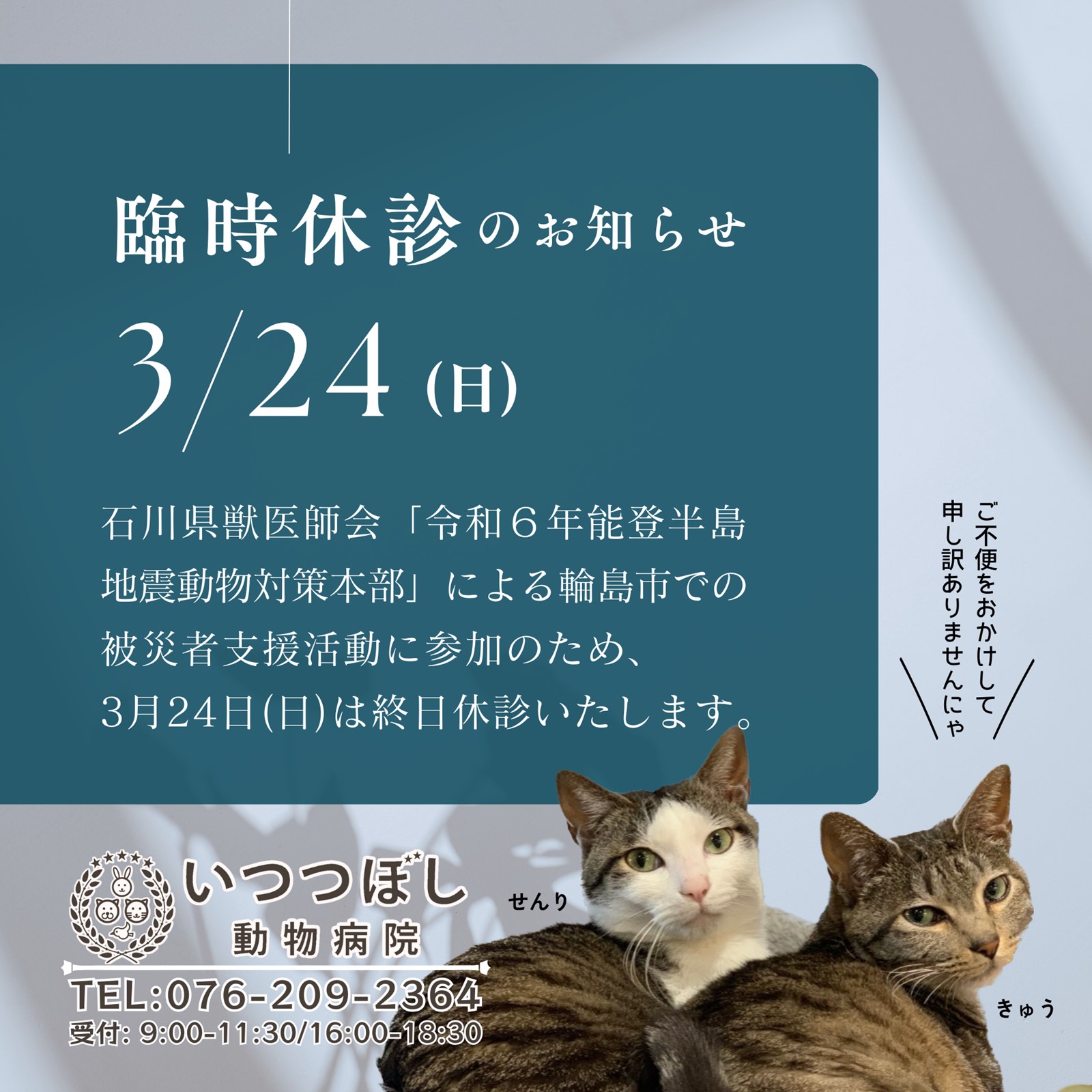 2024年3月24日(日)　臨時休診のお知らせ　いつつぼし動物病院　石川県野々市市