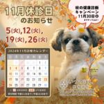 2024年11月　休診のお知らせ　いつつぼし動物病院　石川県野々市市