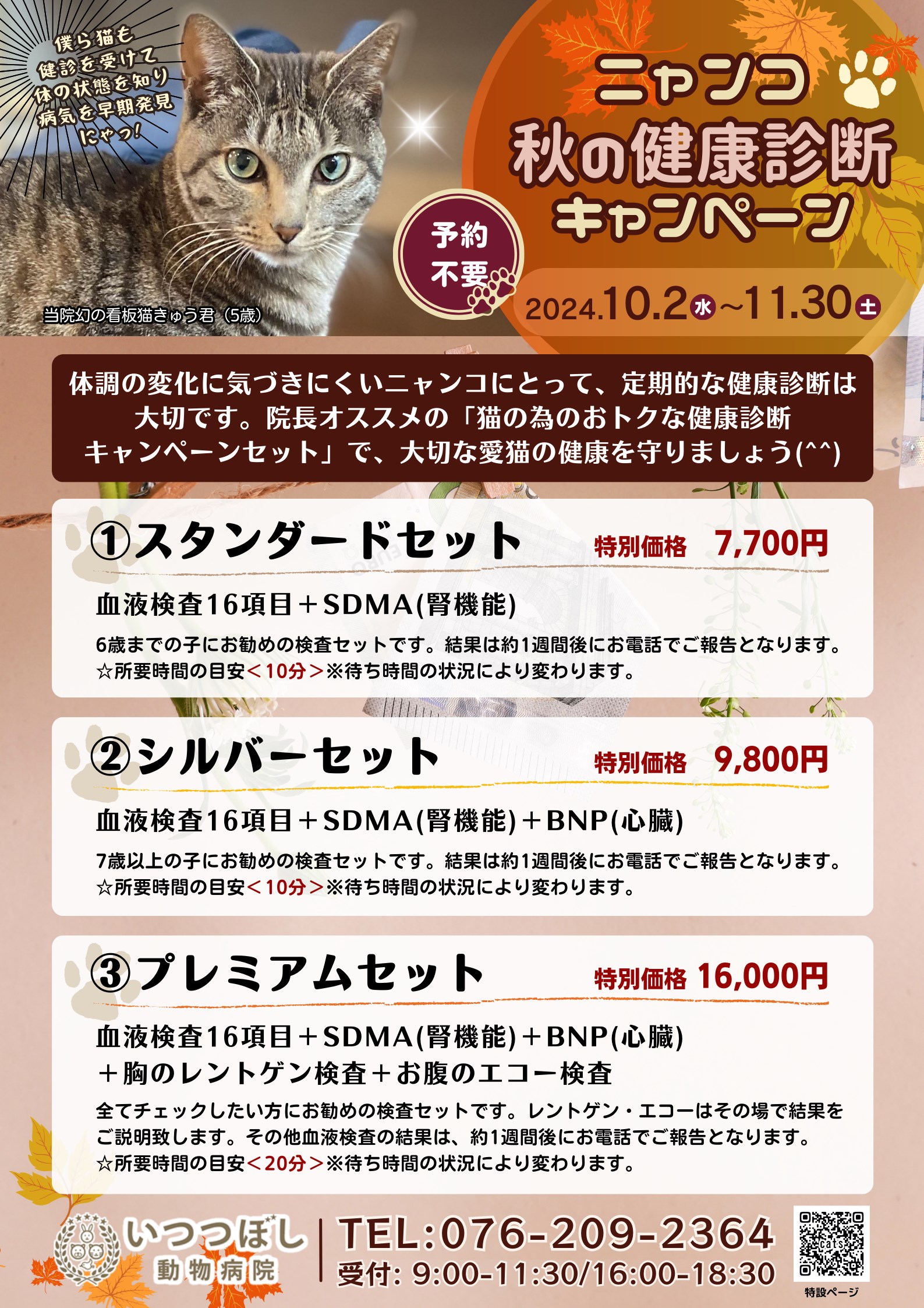 ニャンコ☆秋の健康診断キャンペーン2024　石川県野々市市　いつつぼし動物病院