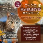 ニャンコ☆秋の健康診断キャンペーン2024　石川県野々市市　いつつぼし動物病院