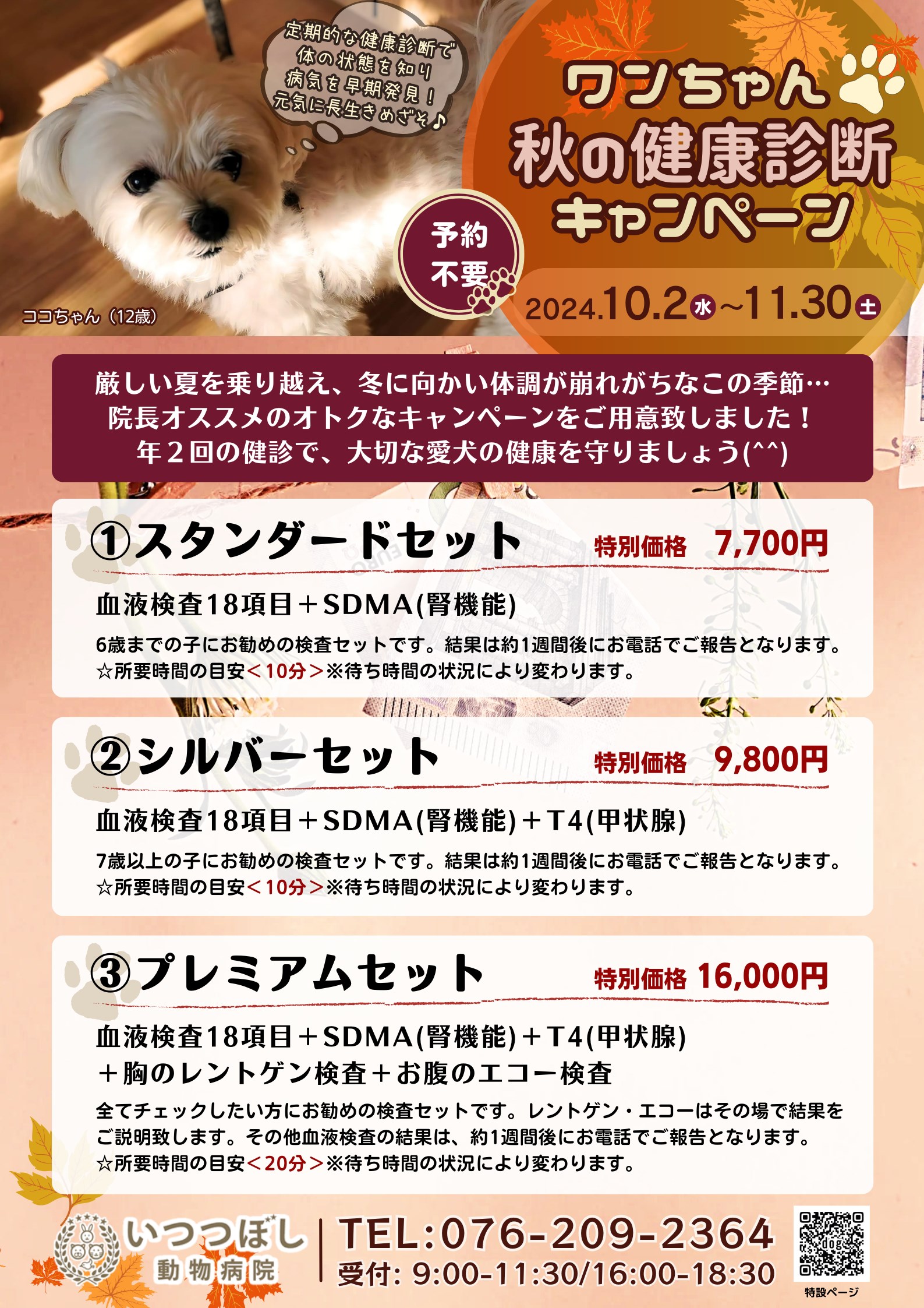 ワンちゃん☆秋の健康診断キャンペーン2024　石川県野々市市　いつつぼし動物病院