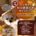 ワンちゃん☆秋の健康診断キャンペーン2024　石川県野々市市　いつつぼし動物病院