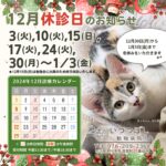 2024年12月　休診のお知らせ　いつつぼし動物病院　石川県野々市市