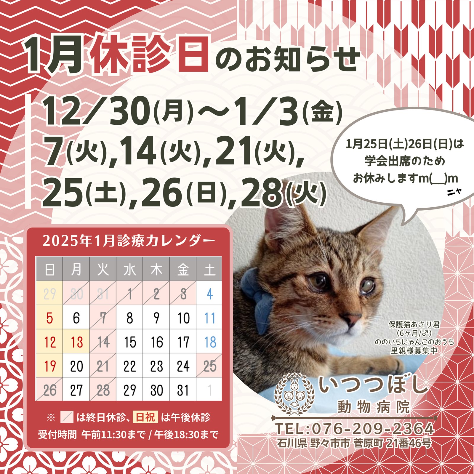 2025年1月　休診のお知らせ　いつつぼし動物病院　石川県野々市市