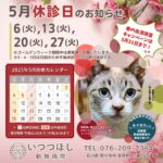 2025年5月　休診のお知らせ　いつつぼし動物病院　石川県野々市市