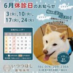 2025年6月　休診のお知らせ　いつつぼし動物病院　石川県野々市市