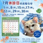 2025年7月　休診のお知らせ　いつつぼし動物病院　石川県野々市市
