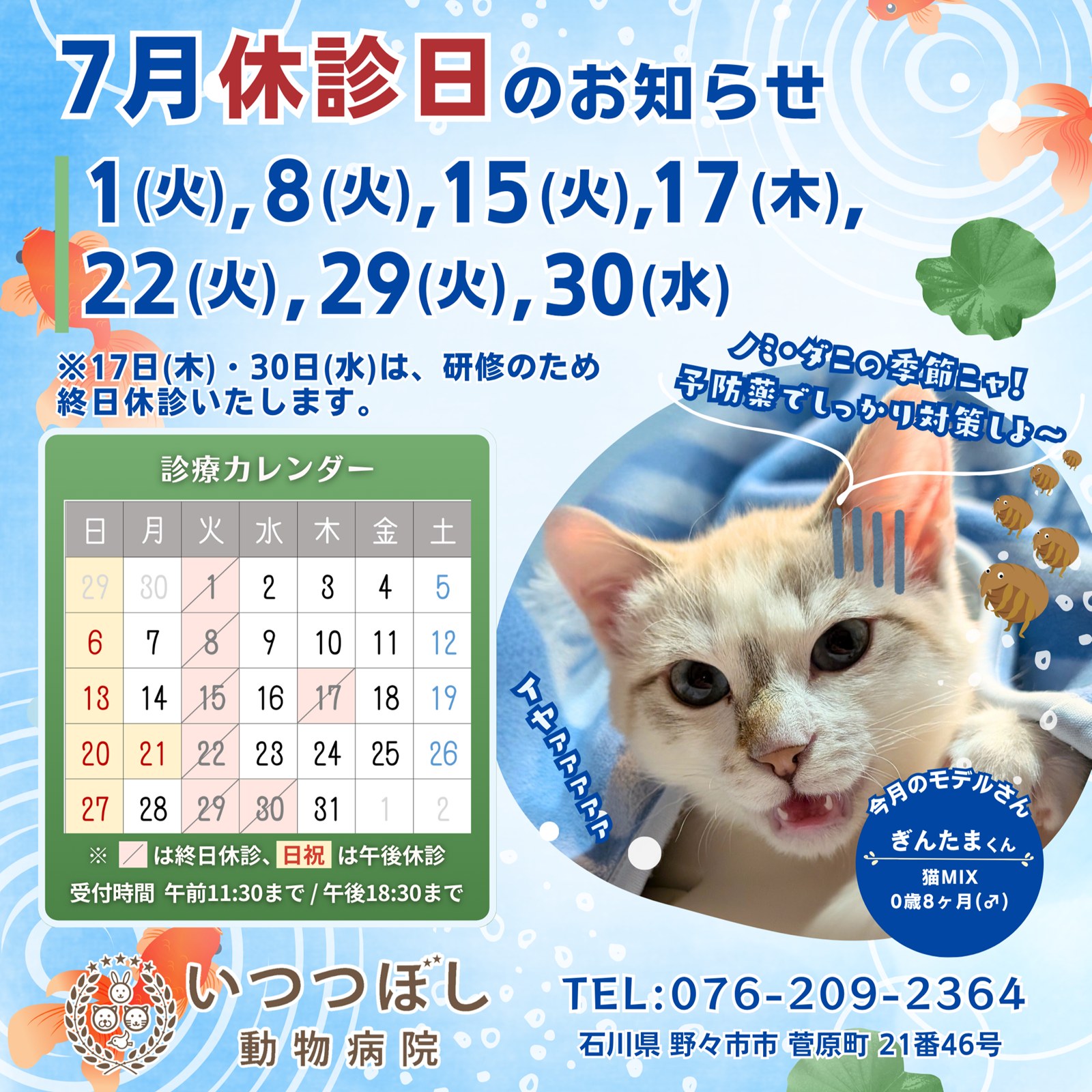 2025年7月　休診のお知らせ　いつつぼし動物病院　石川県野々市市