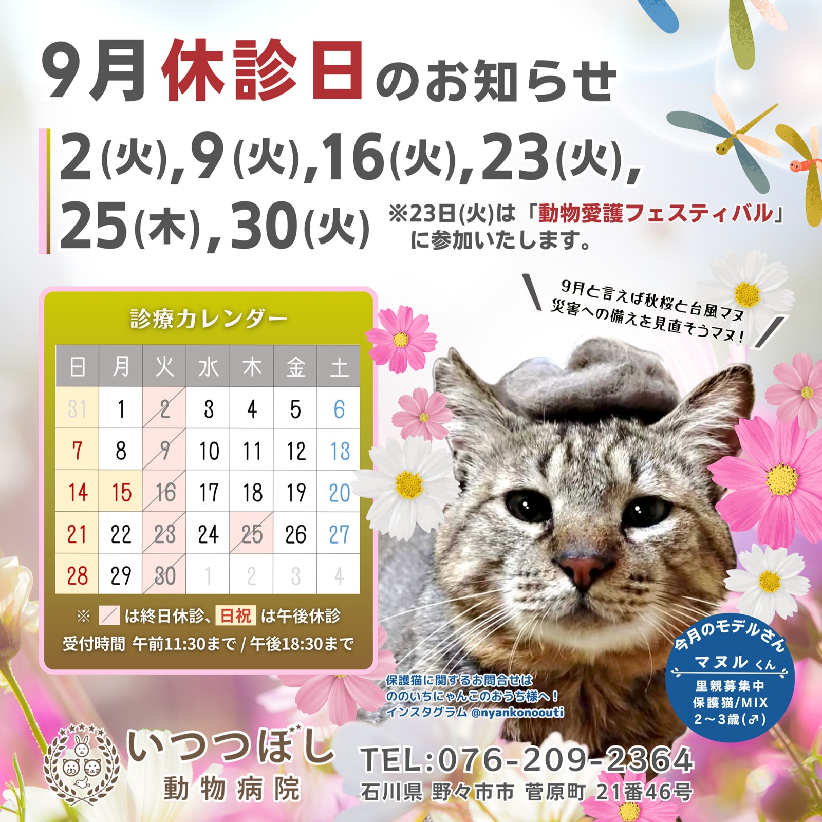 2025年9月 休診のお知らせ いつつぼし動物病院 石川県野々市市