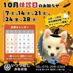 2025年10月　休診のお知らせ　いつつぼし動物病院　石川県野々市市