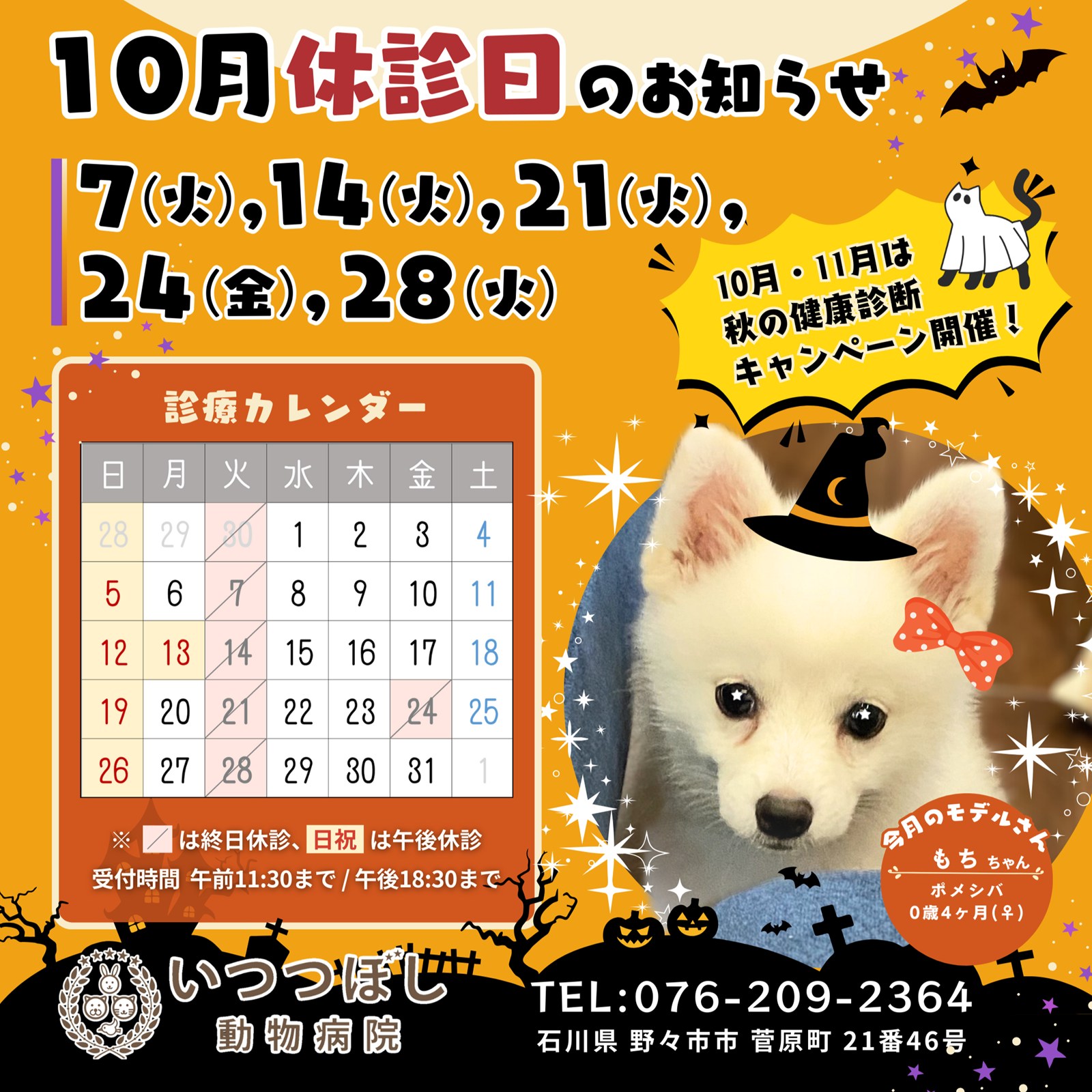 2025年10月　休診のお知らせ　いつつぼし動物病院　石川県野々市市