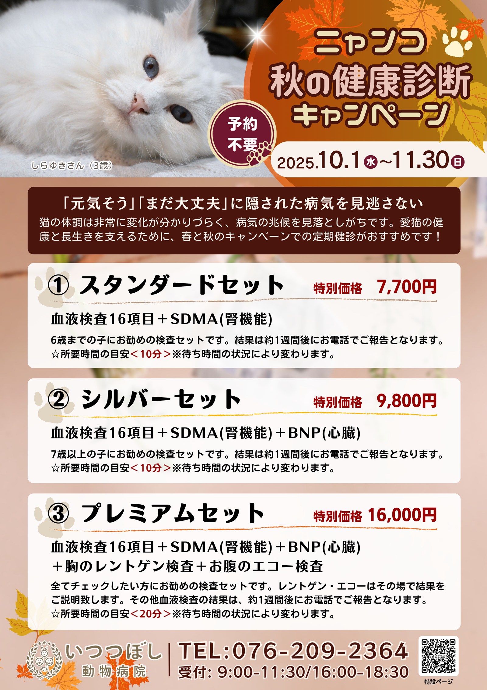 ニャンコ☆秋の健康診断キャンペーン2025　石川県野々市市　いつつぼし動物病院　＜猫の健康診断＞