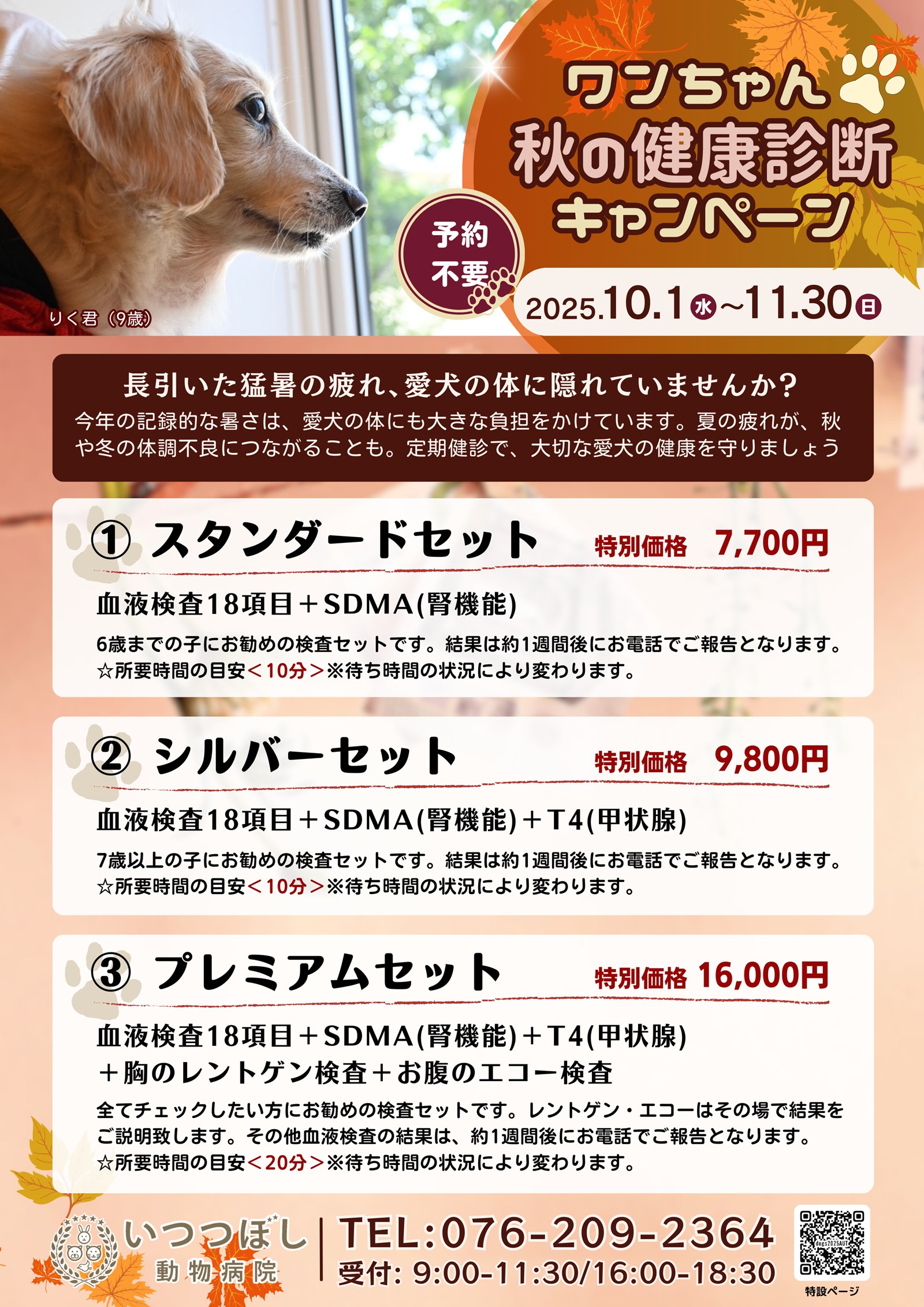 ワンちゃん☆秋の健康診断キャンペーン2025　石川県野々市市　いつつぼし動物病院　＜犬の健康診断＞