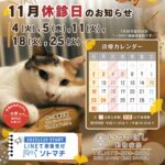 2025年11月　休診のお知らせ　いつつぼし動物病院　石川県野々市市