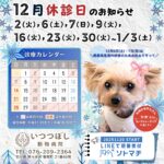 2025年12月　休診のお知らせ　いつつぼし動物病院　石川県野々市市