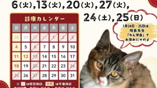 2026年1月の休診日のご案内 | 石川県 野々市市｜いつつぼし動物病院