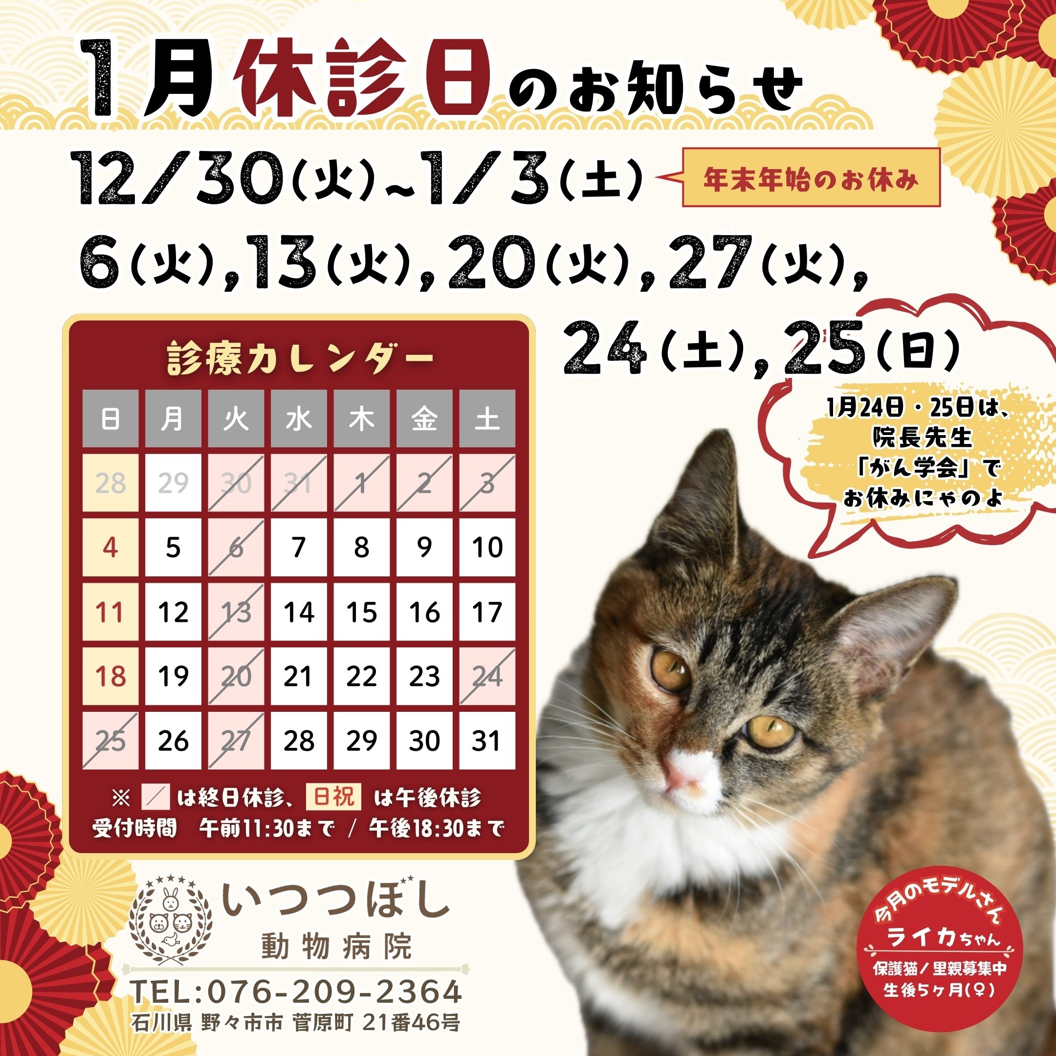 2026年1月 休診日カレンダー案内（年末年始・学会臨時休診含む） いつつぼし動物病院 石川県野々市市