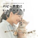 ここから始まる　子犬の未来を育てる第一歩　パピー教室に行ってみよう！　いつつぼし動物病院　石川県　野々市市