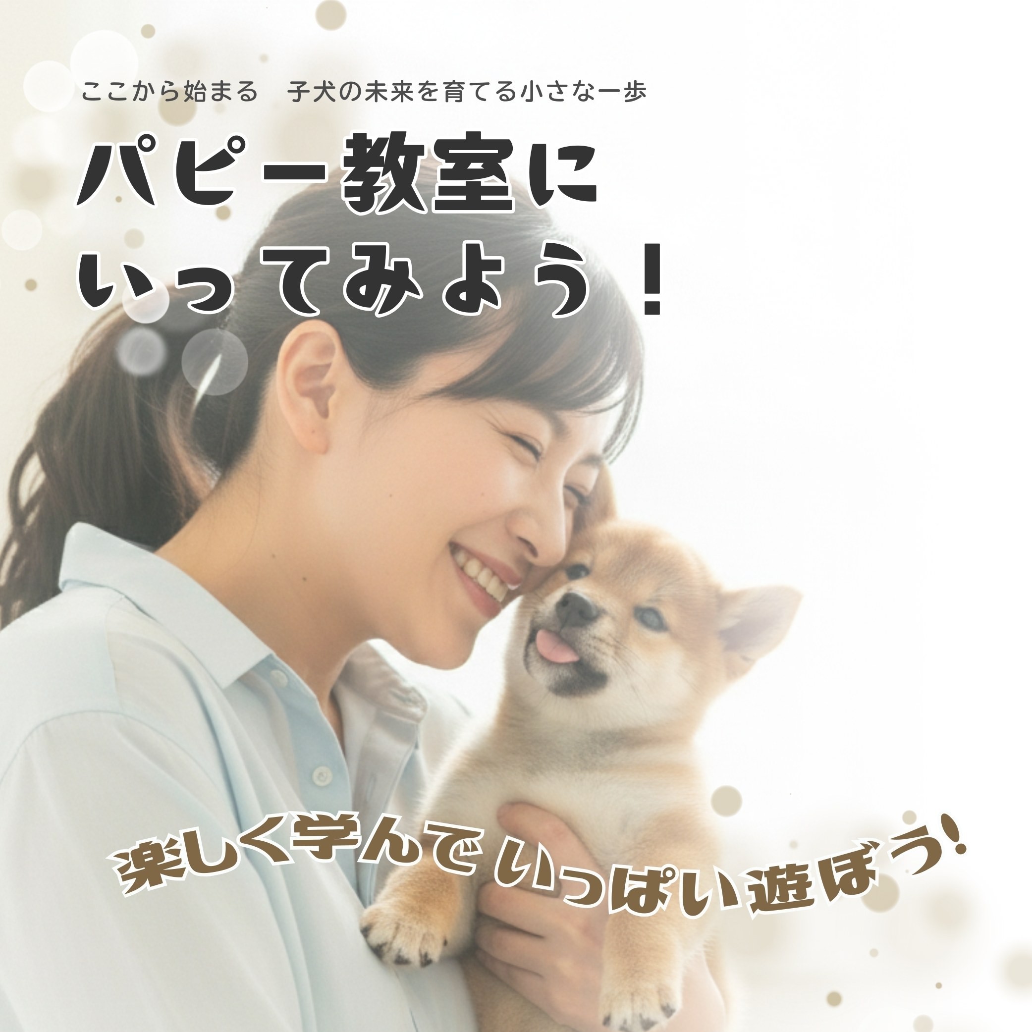ここから始まる　子犬の未来を育てる第一歩　パピー教室に行ってみよう！　いつつぼし動物病院　石川県　野々市市