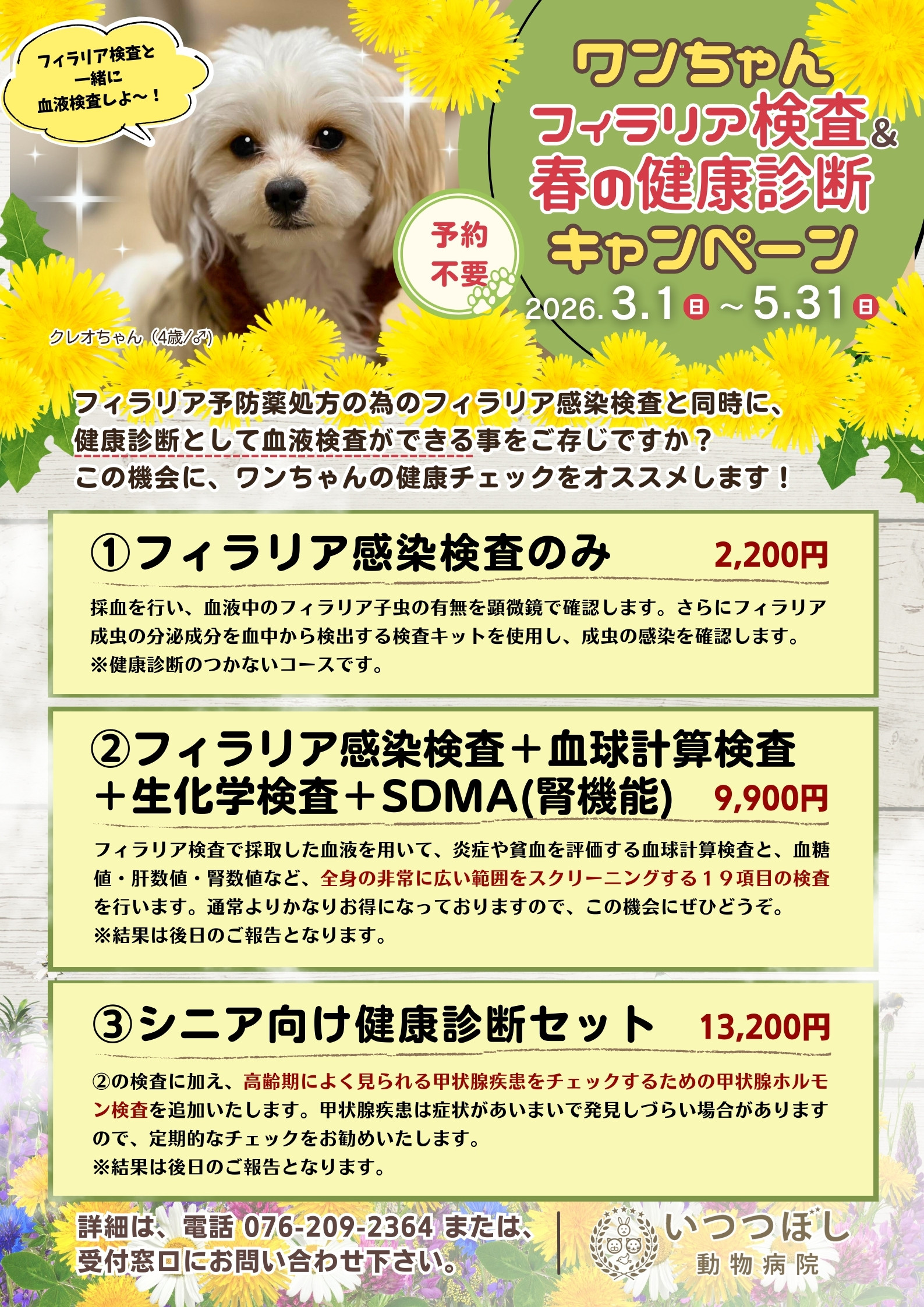 ワンちゃん フィラリア検査&春の健康診断キャンペーン2026 3月1日~5月31日 いつつぼし動物病院(石川県野々市市)犬の健康診断キャンペーン