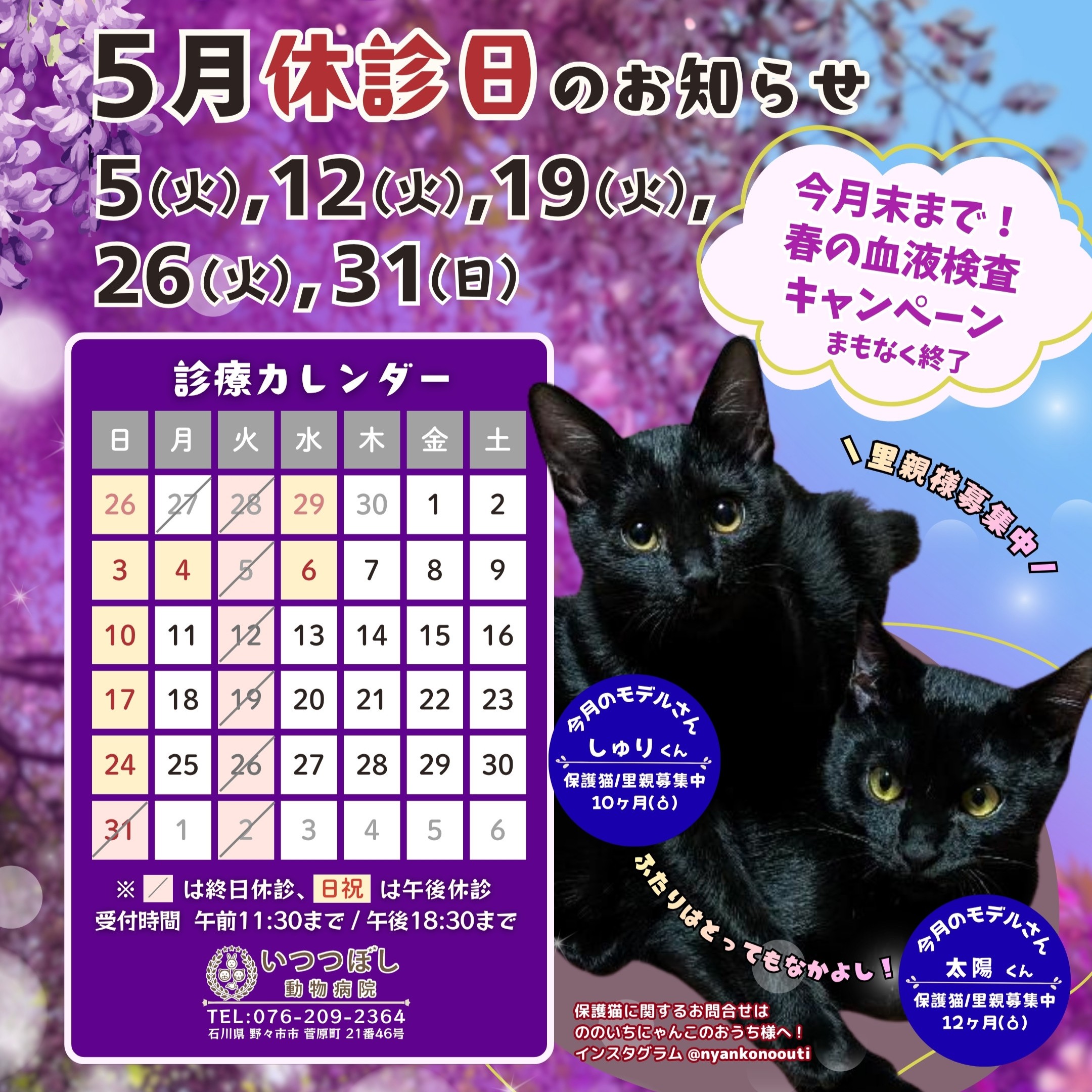 2026年5月 休診日カレンダー案内　いつつぼし動物病院 石川県野々市市