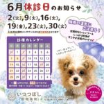 2026年6月 休診日カレンダー案内　いつつぼし動物病院 石川県野々市市