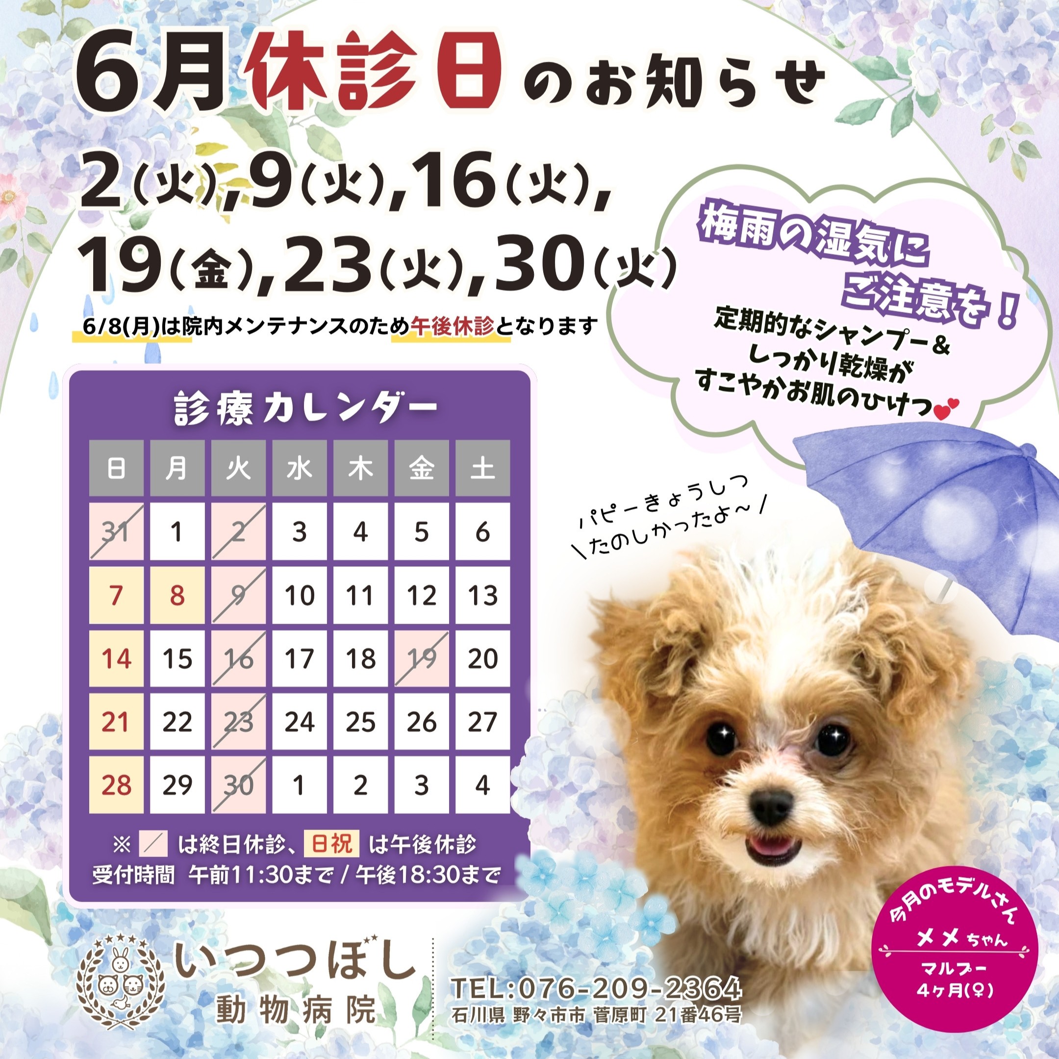 2026年6月 休診日カレンダー案内　いつつぼし動物病院 石川県野々市市