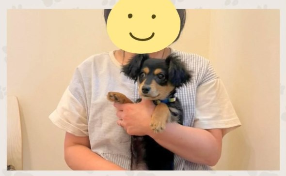 いつつぼし動物病院のパピー教室　第3回卒業生