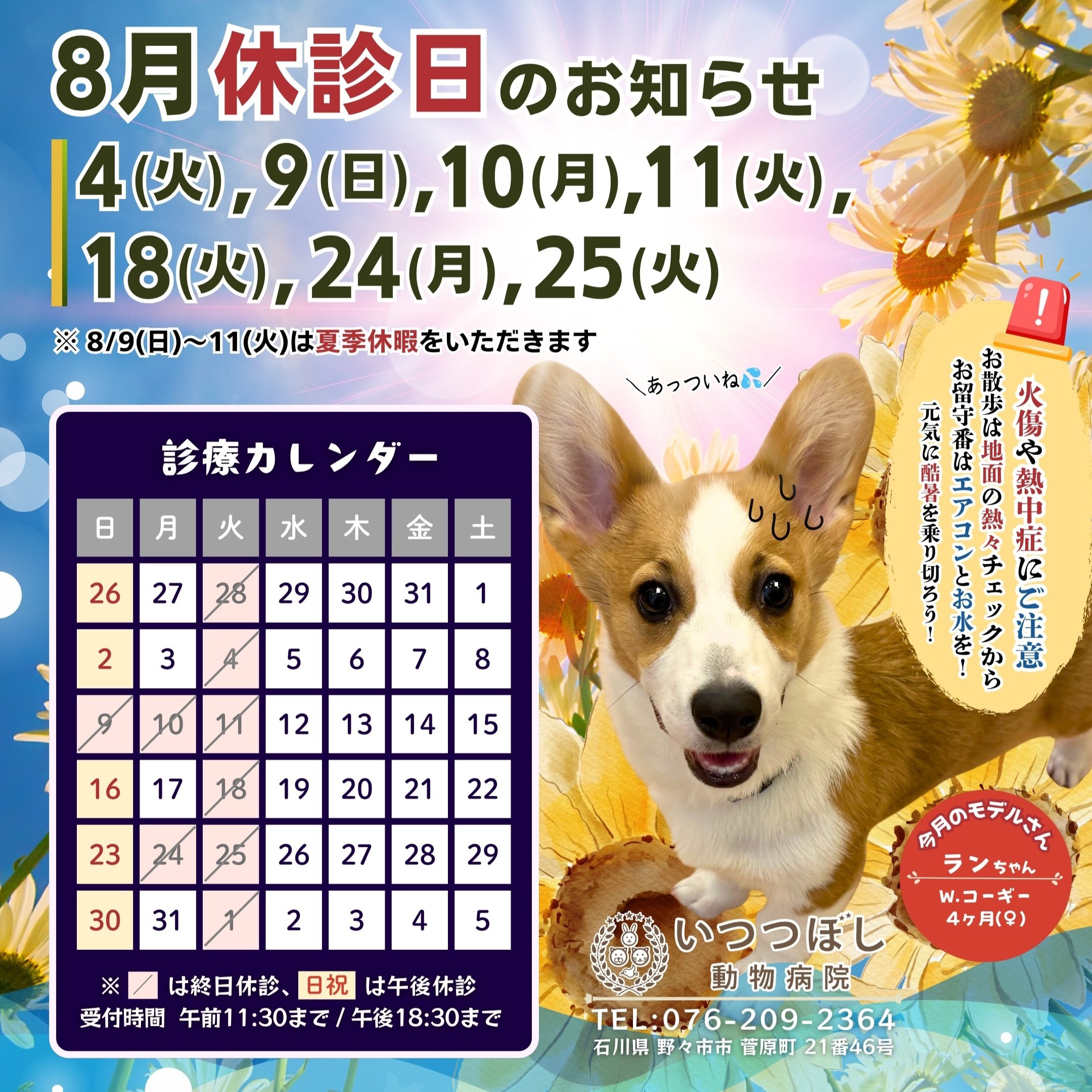 2026年8月 休診日カレンダー案内　いつつぼし動物病院 石川県野々市市