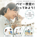 パピー教室にいってみよう！いつつぼし動物病院のパピークラス