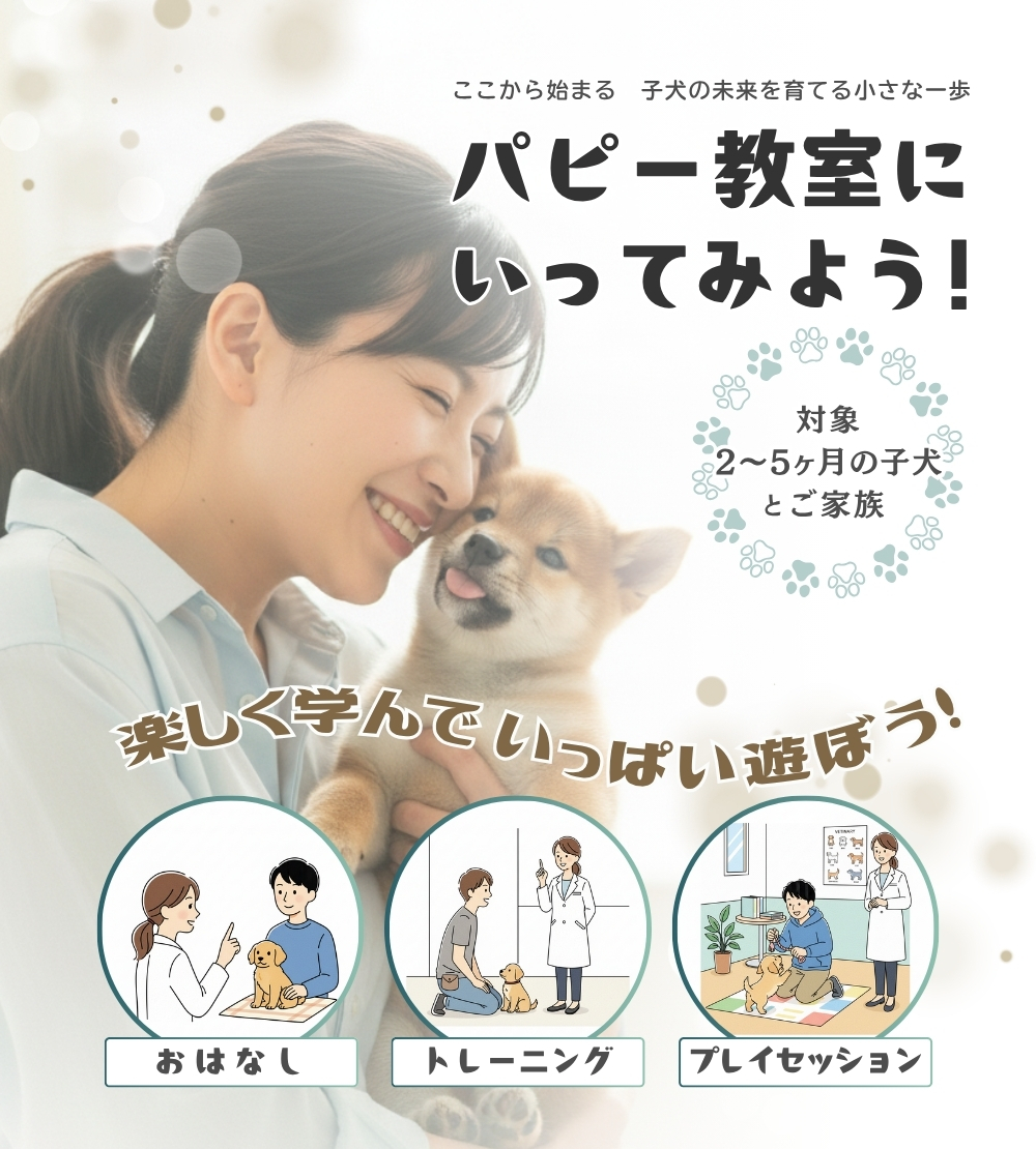パピー教室にいってみよう！いつつぼし動物病院のパピークラス