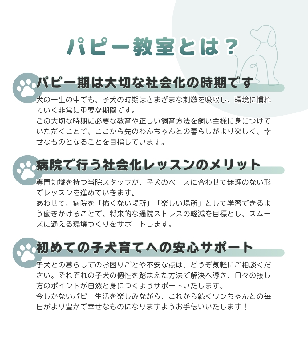 いつつぼし動物病院のパピー教室　動物病院ならではのメリット