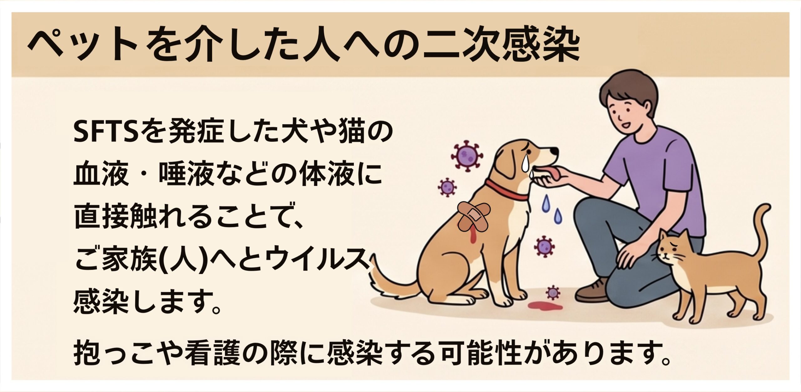 SFTSを発症した犬や猫の体液（血液・唾液）に触れることで、抱っこや看護の際に人へウイルスが二次感染する危険性を表す図