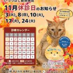 2026年11月 休診日カレンダー案内　いつつぼし動物病院 石川県野々市市