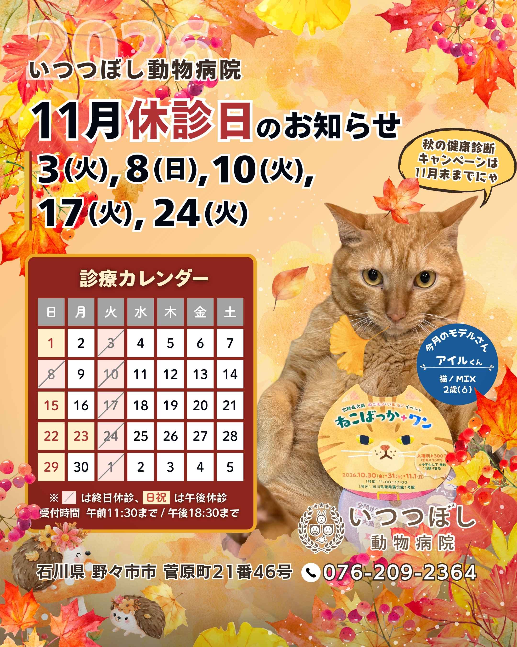 2026年11月 休診日カレンダー案内 いつつぼし動物病院 石川県野々市市